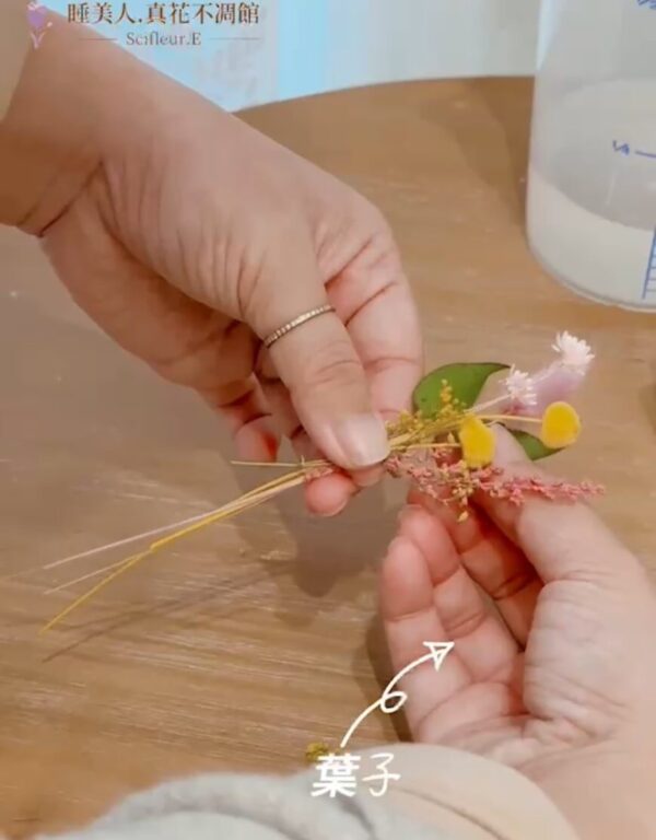 【線上】#Herbarium 室內植物標本．浮游花瓶：圖片 4