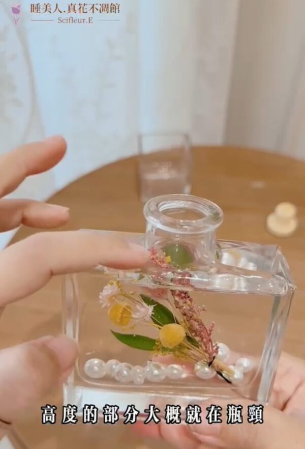 【線上】#Herbarium 室內植物標本．浮游花瓶：圖片 3